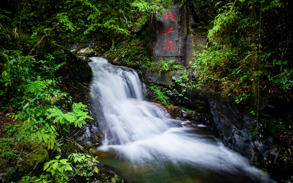 這，就是錢江源-百山祖國(guó)家公園候選區(qū)錢江源園區(qū)